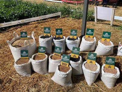 Dia de Campo Coprossel -Evento reuniu produtores, lideranças e empresas parceiras para apresentar tecnologias 